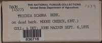 Image Associated With the Occurence